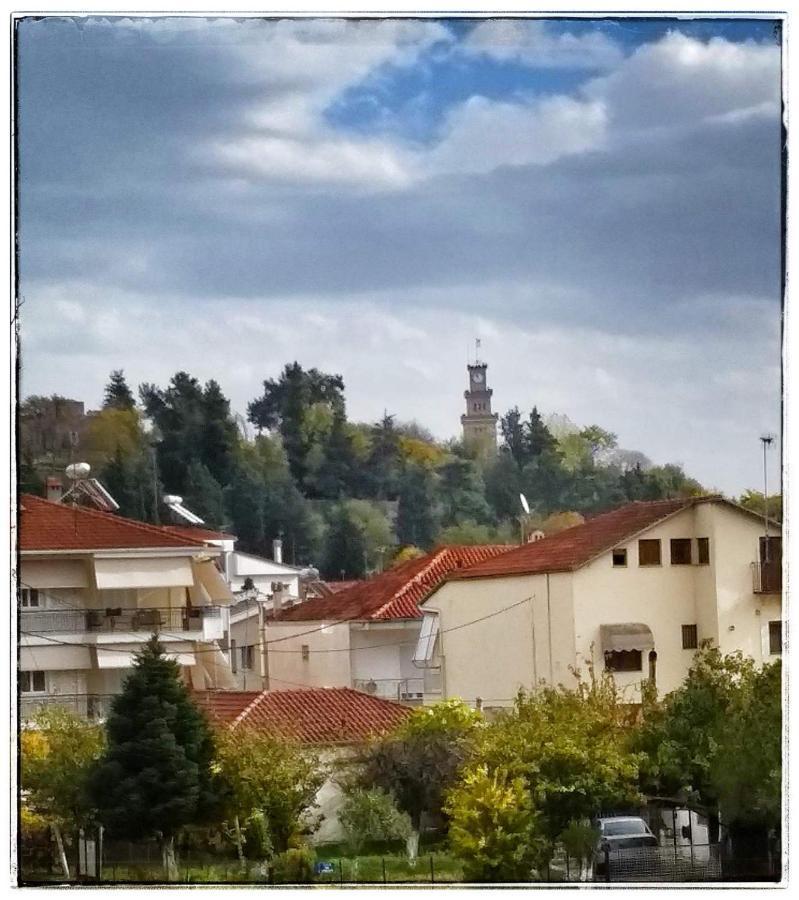 Dimsim Home-Σπίτι Με Όνομα 特里卡拉 外观 照片